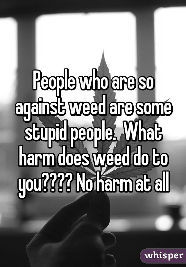 People who are so against weed are some stupid people.  What harm does weed do to you???? No harm at all