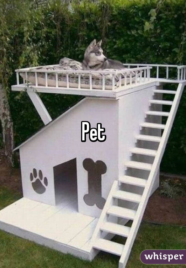 Pet