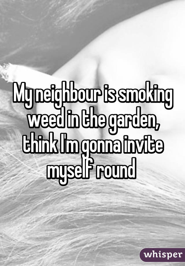 My neighbour is smoking weed in the garden, think I'm gonna invite myself round 