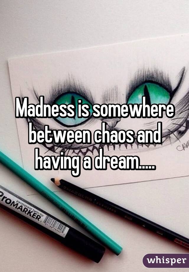 Madness is somewhere between chaos and having a dream.....