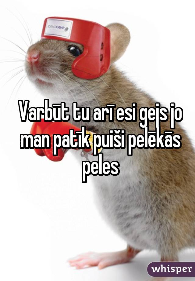 Varbūt tu arī esi gejs jo man patīk puiši pelēkās peles