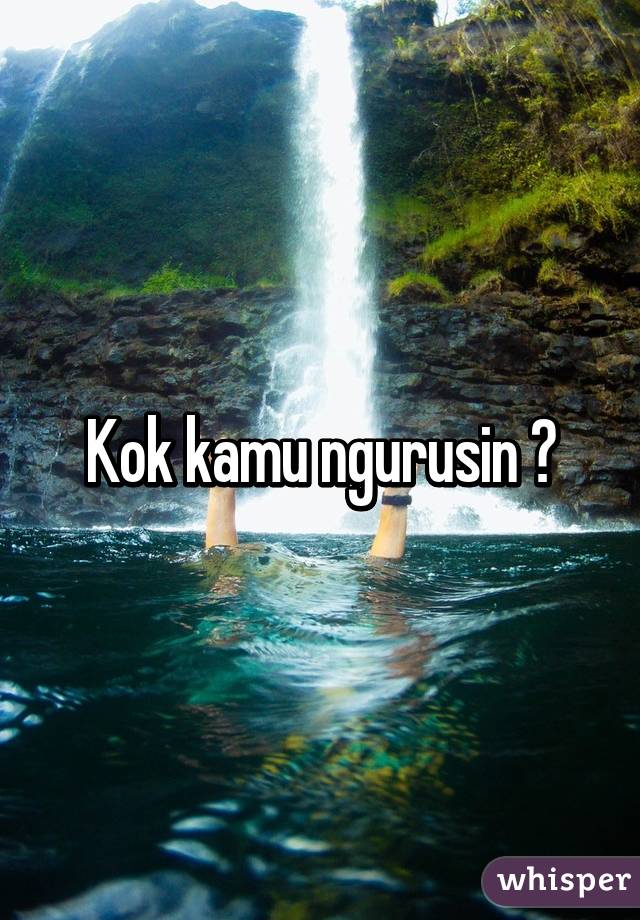 Kok kamu ngurusin ?