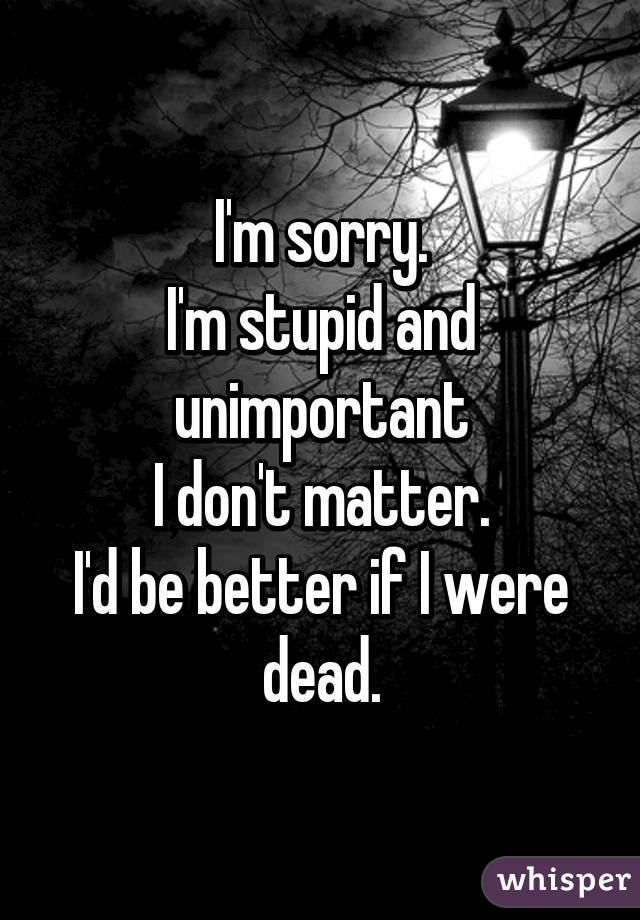 I'm sorry.
I'm stupid and unimportant
I don't matter.
I'd be better if I were dead.