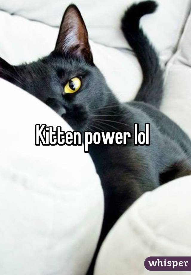 Kitten power lol  