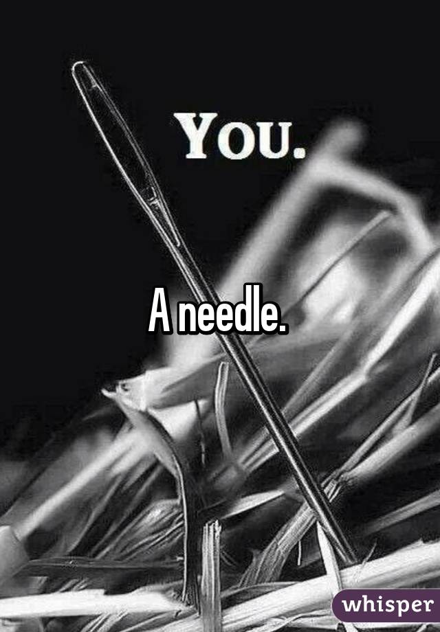 A needle. 