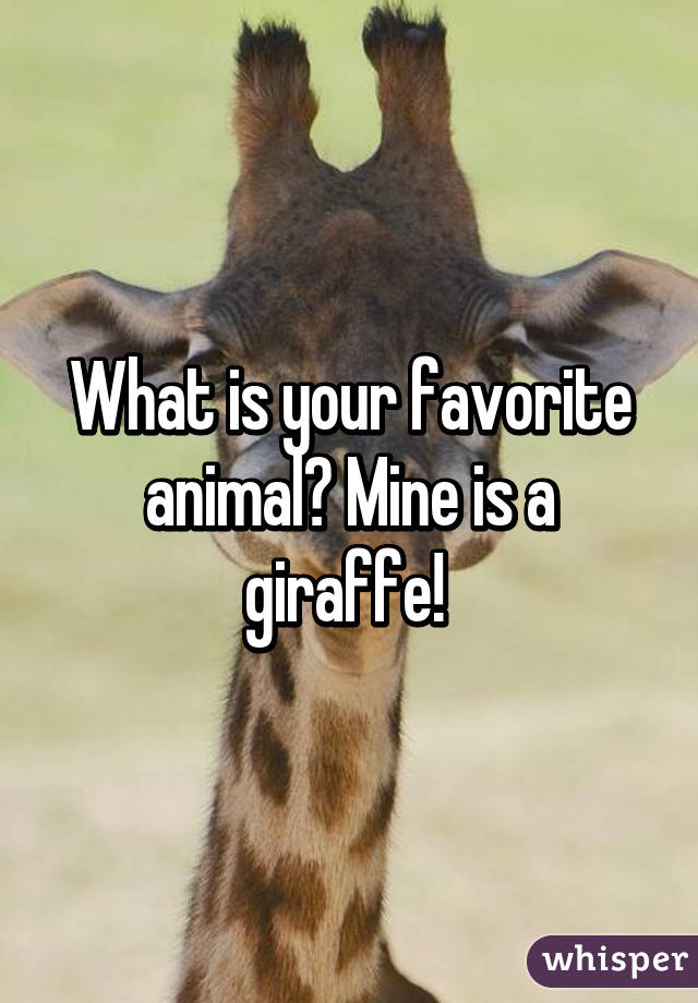 What is your favorite animal? Mine is a giraffe! 