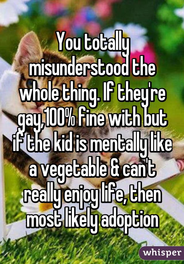 You totally misunderstood the whole thing. If they're gay,100% fine with but if the kid is mentally like a vegetable & can't really enjoy life, then most likely adoption