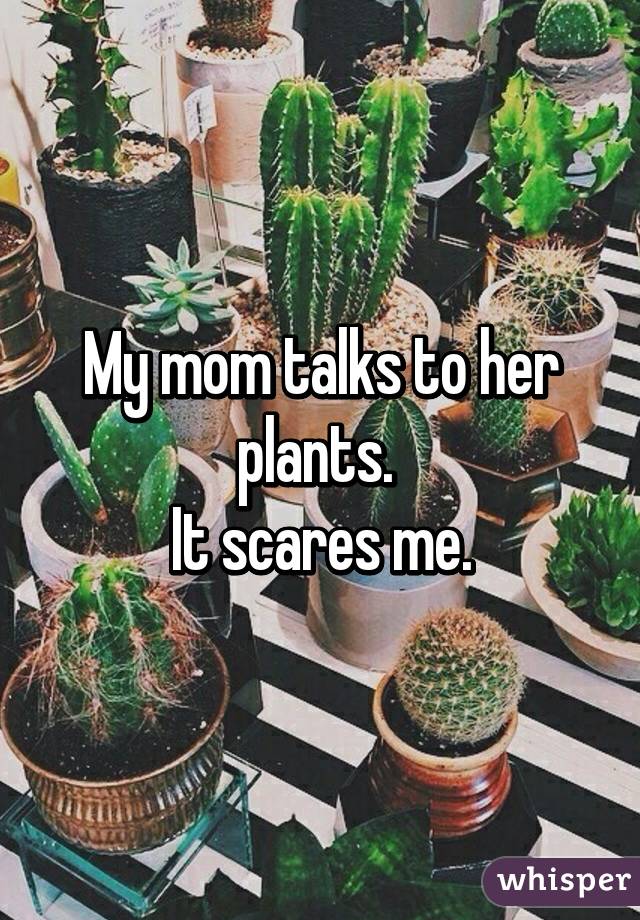 My mom talks to her plants. 
It scares me.