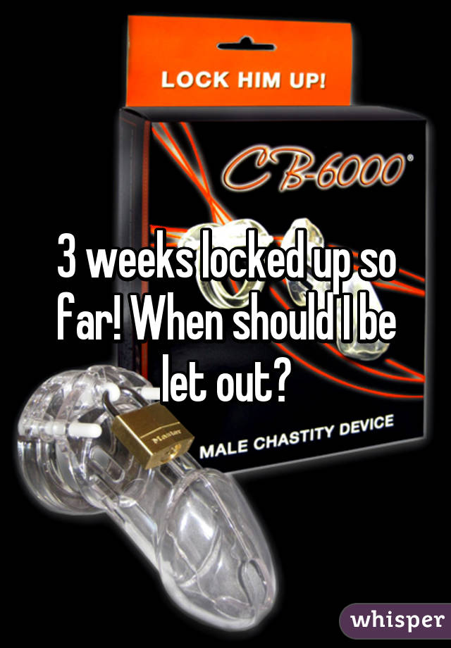 3 weeks locked up so far! When should I be let out?