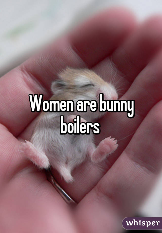 Women are bunny boilers 