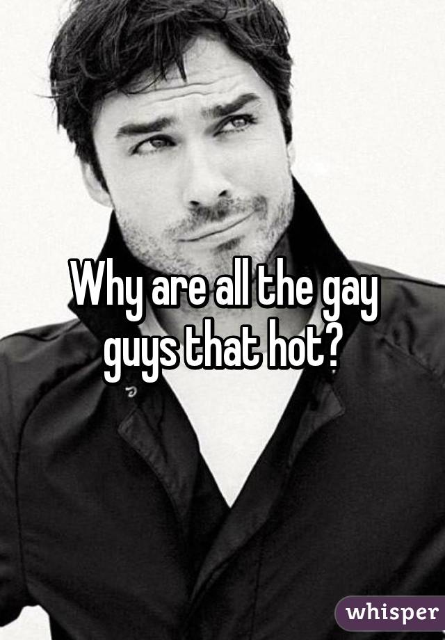 Why are all the gay guys that hot?