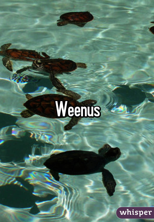 Weenus