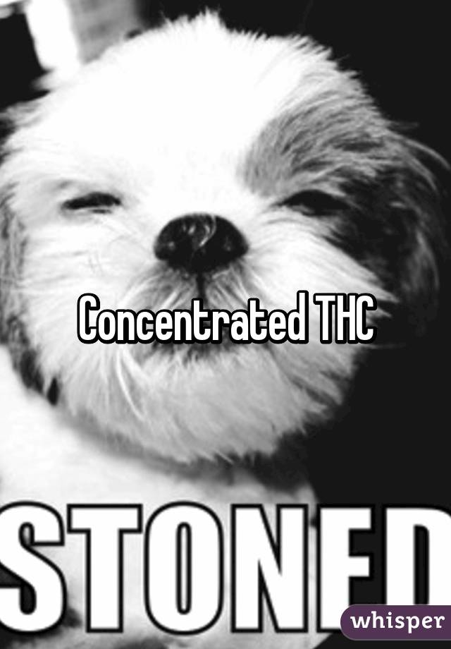 Concentrated THC