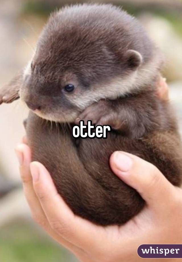 otter