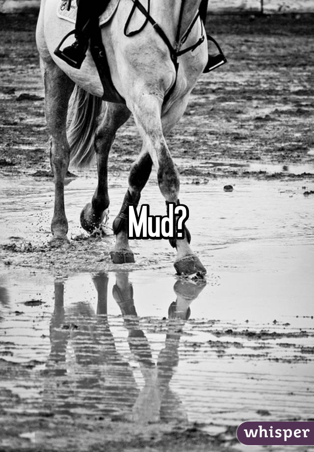 Mud?