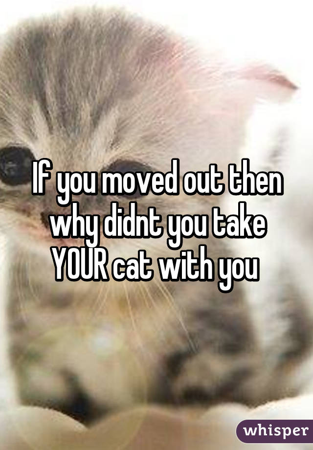 If you moved out then why didnt you take YOUR cat with you 