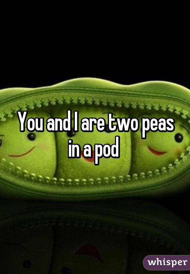 You and I are two peas in a pod 