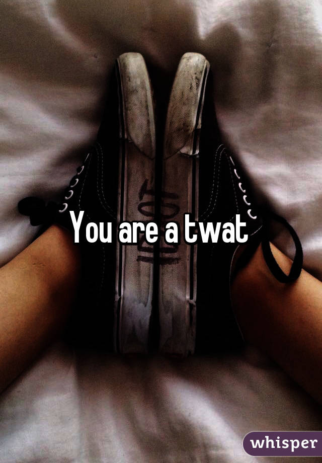 You are a twat 