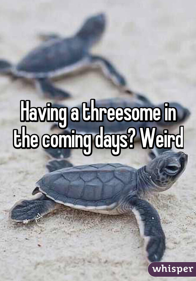 Having a threesome in the coming days? Weird  