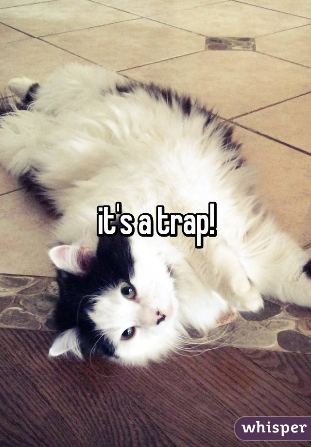 it's a trap!