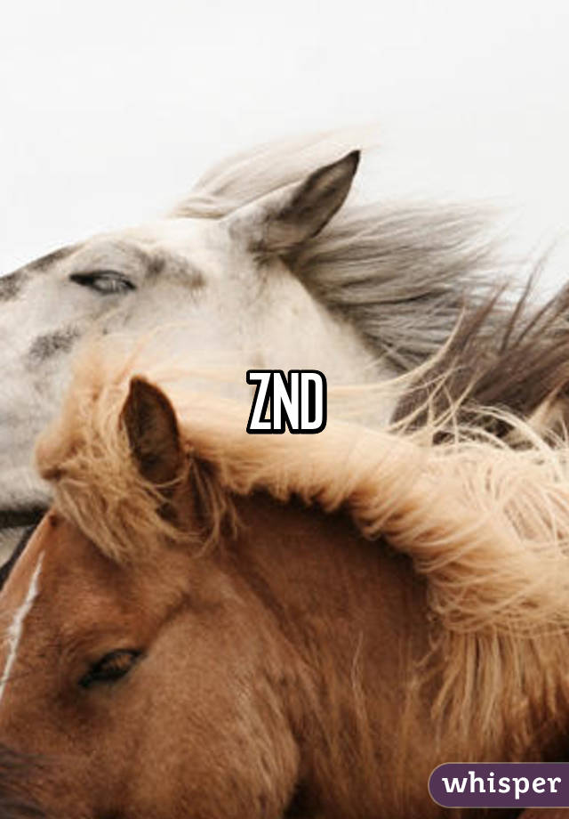 ZND