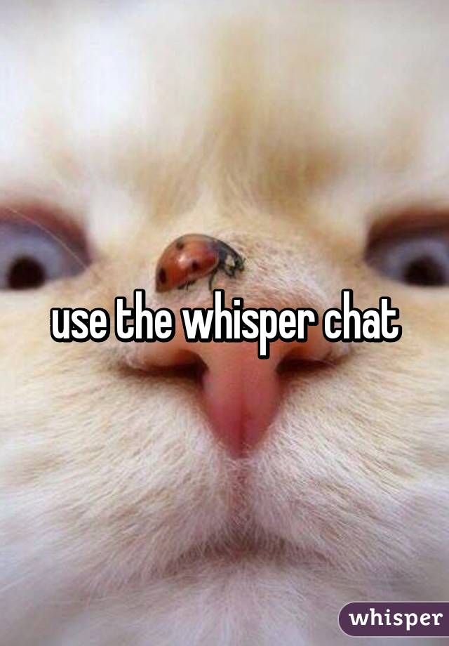 use the whisper chat