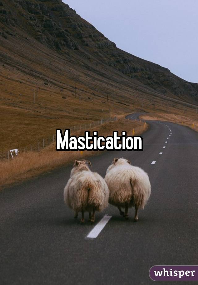 Mastication