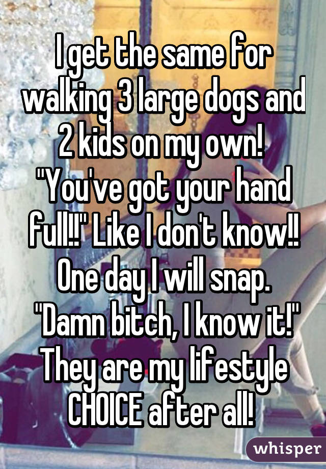 I get the same for walking 3 large dogs and 2 kids on my own! 
"You've got your hand full!!" Like I don't know!!
One day I will snap.
 "Damn bitch, I know it!"
They are my lifestyle CHOICE after all! 