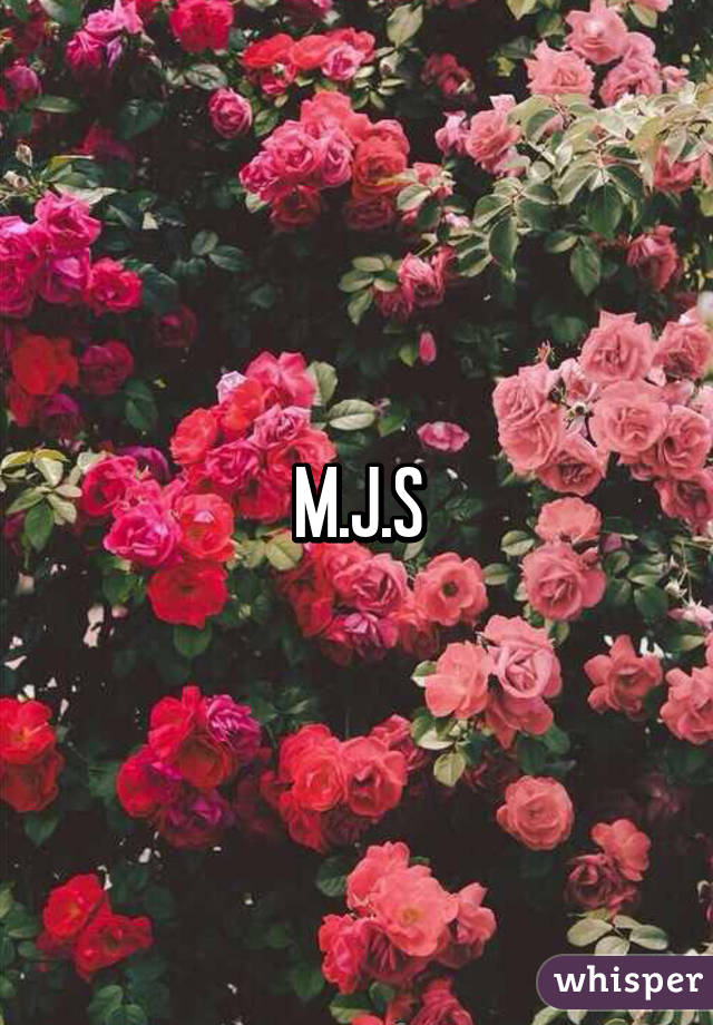 M.J.S