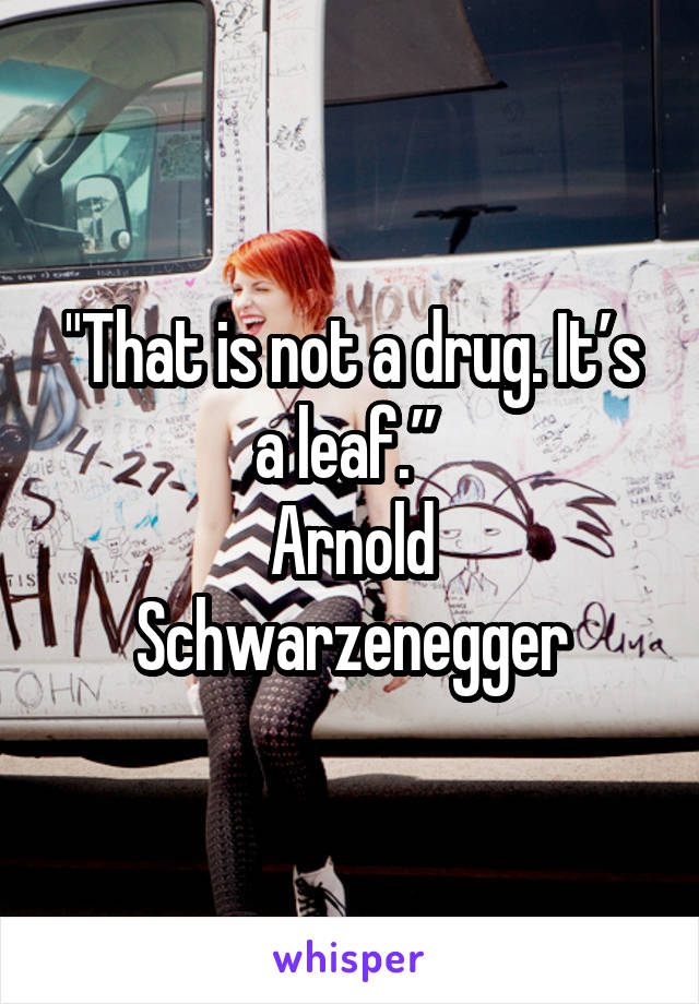 "That is not a drug. It’s a leaf.” 
Arnold Schwarzenegger