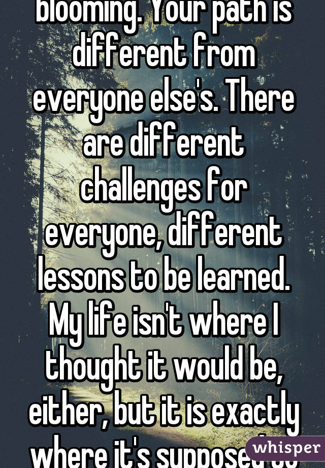 There is no late blooming. Your path is different from everyone else's. There are different challenges for everyone, different lessons to be learned. My life isn't where I thought it would be, either, but it is exactly where it's supposed to be.