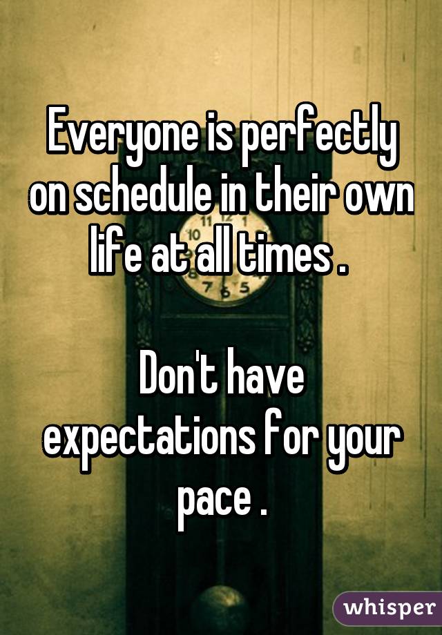 Everyone is perfectly on schedule in their own life at all times . 

Don't have expectations for your pace .