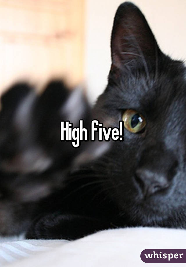 High five! 