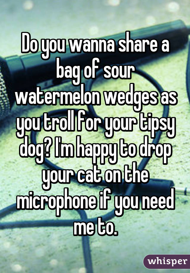 Do you wanna share a bag of sour watermelon wedges as you troll for your tipsy dog? I'm happy to drop your cat on the microphone if you need me to.