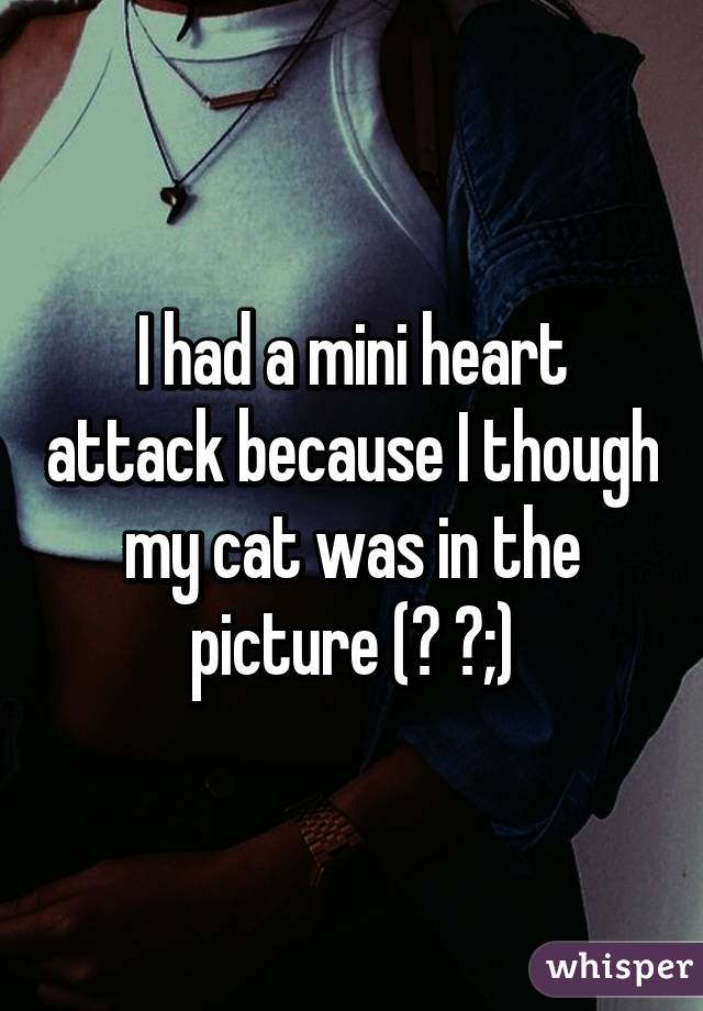 I had a mini heart attack because I though my cat was in the picture (ｰ ｰ;)