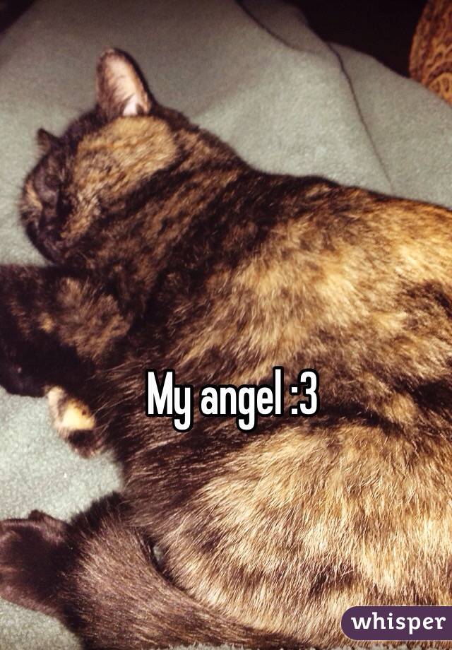 My angel :3