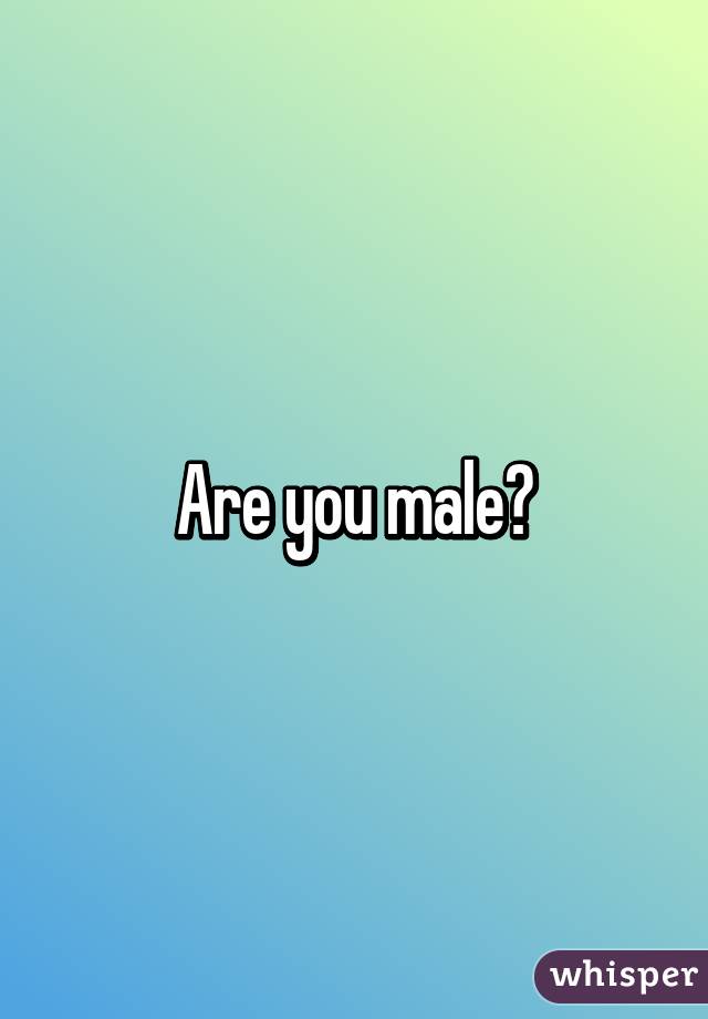 Are you male?