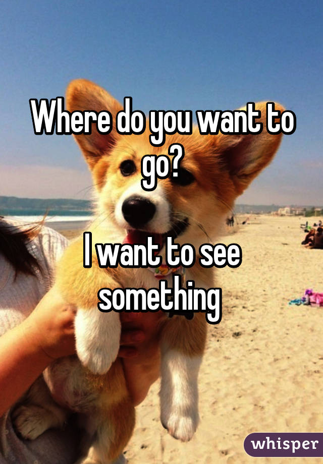 Where do you want to go?

I want to see something 
