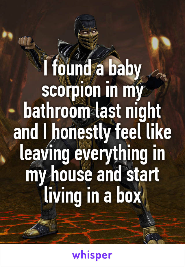 I found a baby scorpion in my bathroom last night and I honestly feel like leaving everything in my house and start living in a box