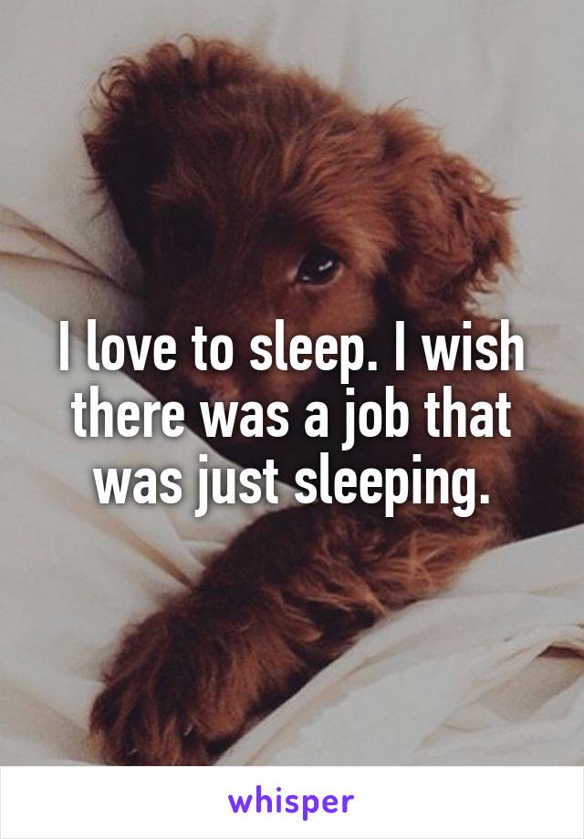 I love to sleep. I wish there was a job that was just sleeping.