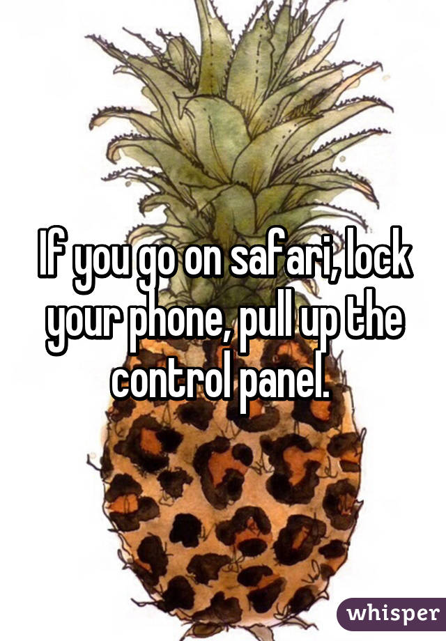 If you go on safari, lock your phone, pull up the control panel. 