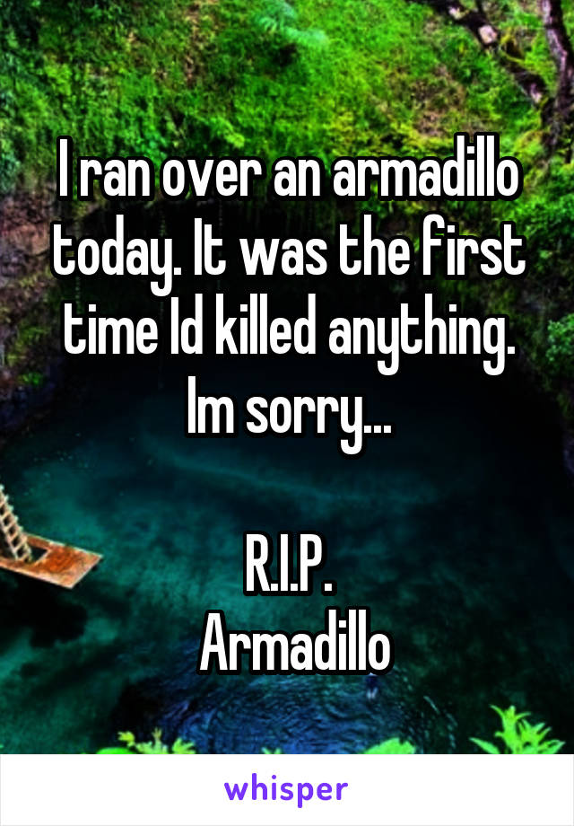 I ran over an armadillo today. It was the first time Id killed anything. Im sorry...

R.I.P.
 Armadillo