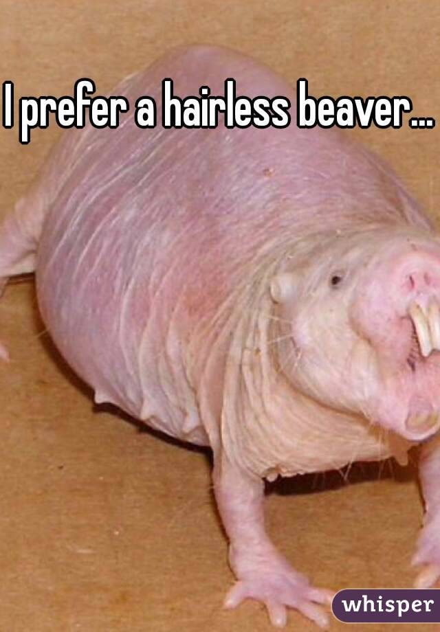 I prefer a hairless beaver...