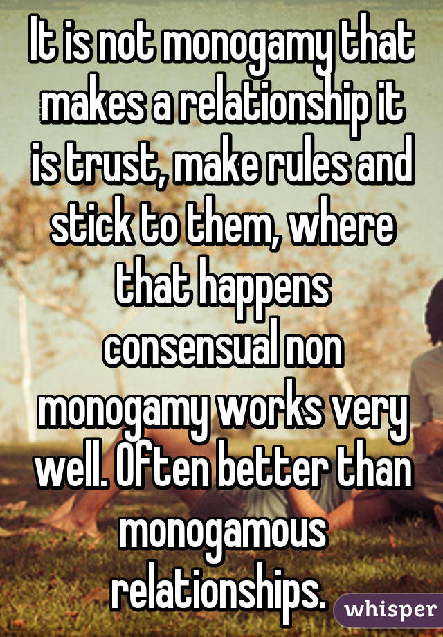 It is not monogamy that makes a relationship it is trust, make rules and stick to them, where that happens consensual non monogamy works very well. Often better than monogamous relationships. 