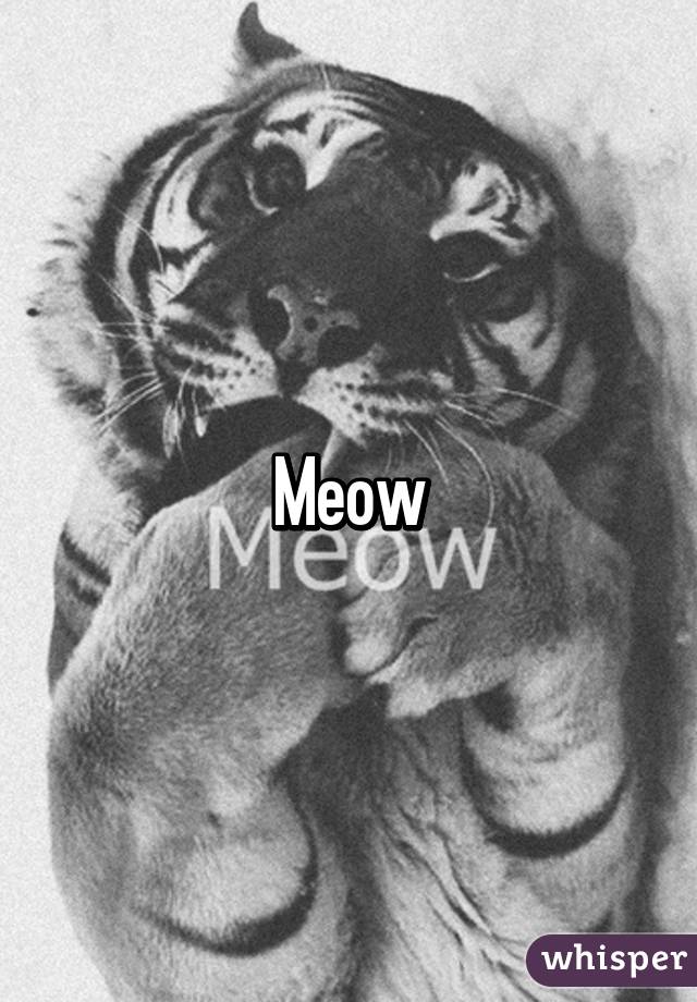 Meow