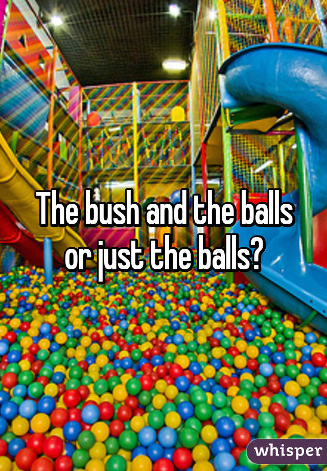 The bush and the balls or just the balls?