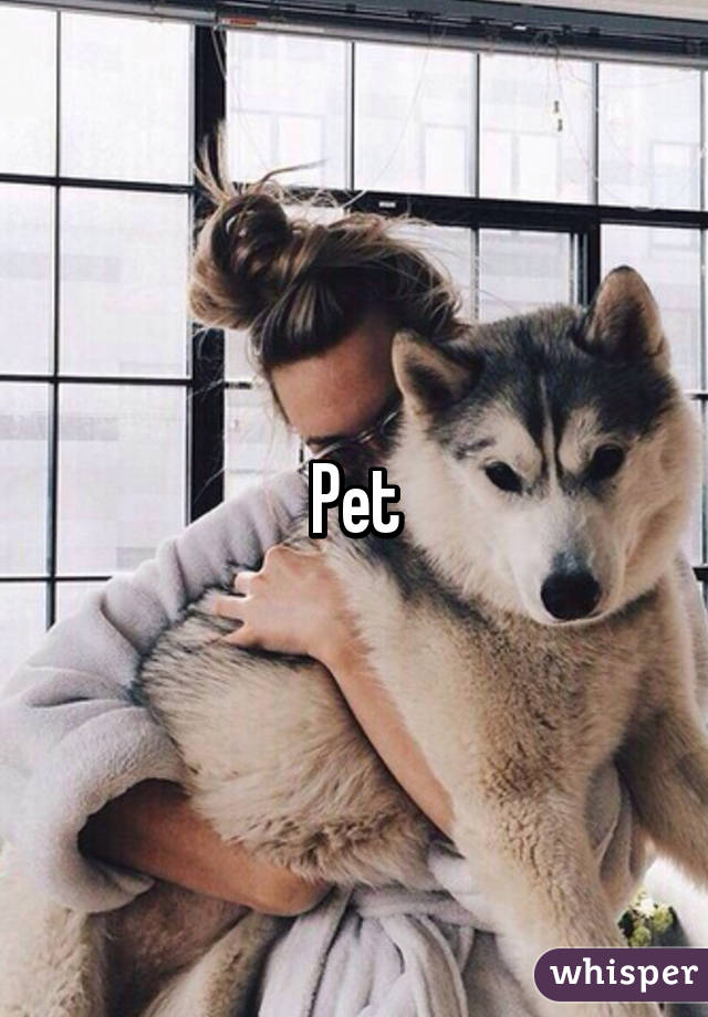 Pet