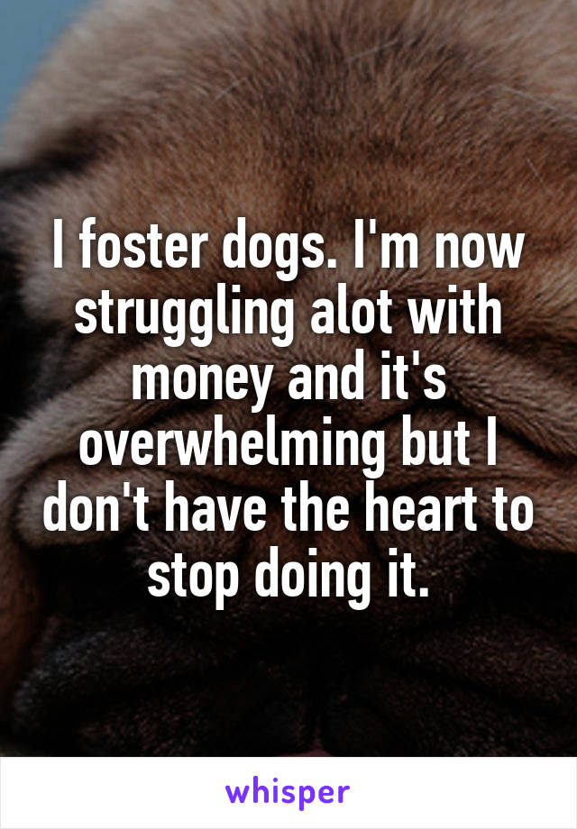 I foster dogs. I'm now struggling alot with money and it's overwhelming but I don't have the heart to stop doing it.