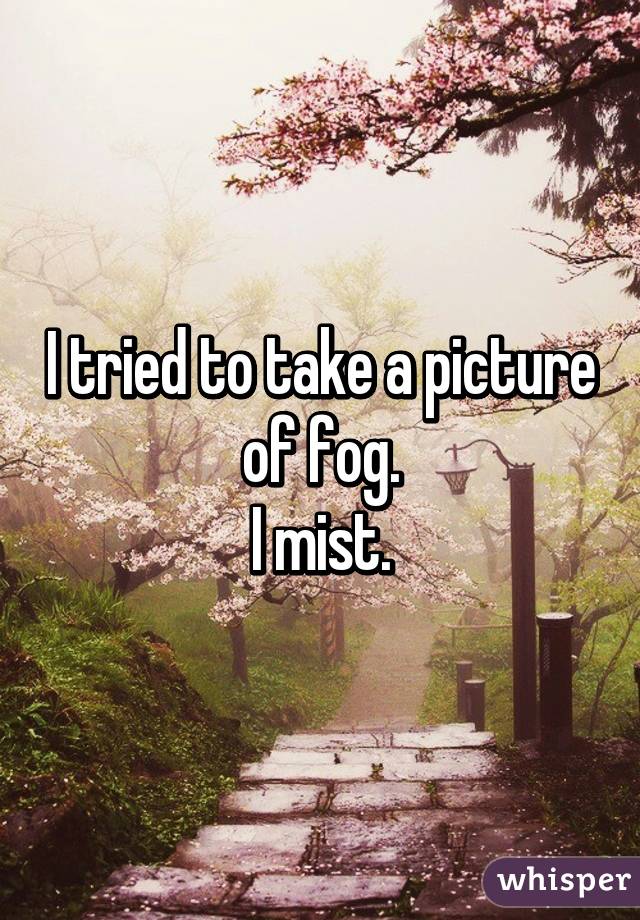 I tried to take a picture of fog.
I mist.