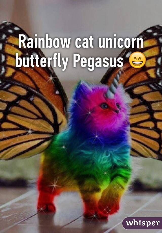 Rainbow cat unicorn butterfly Pegasus 😄